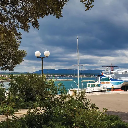 Lovely In Zidarici *
